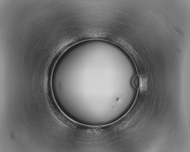 X0000112720627200909031417