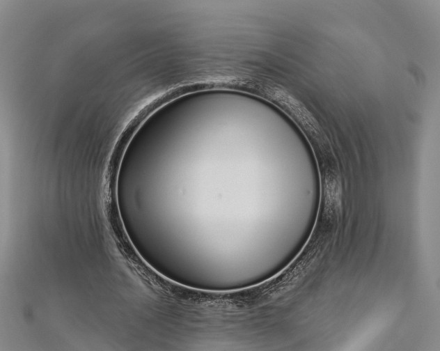 X0000112720628200909031417