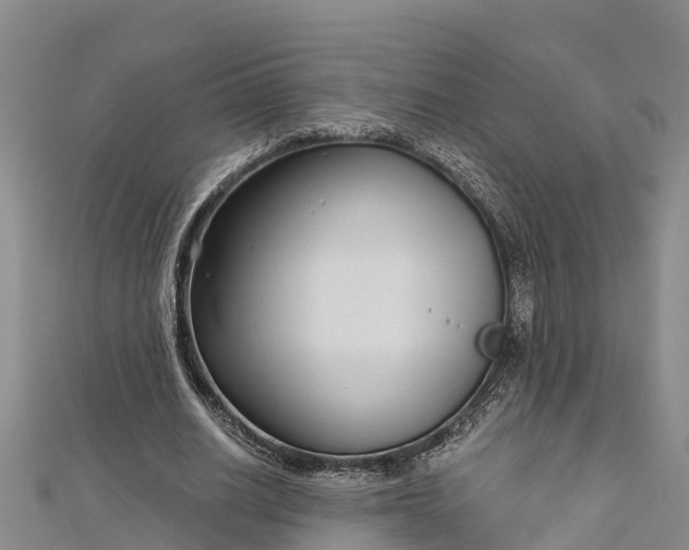 X0000112720630200909031417