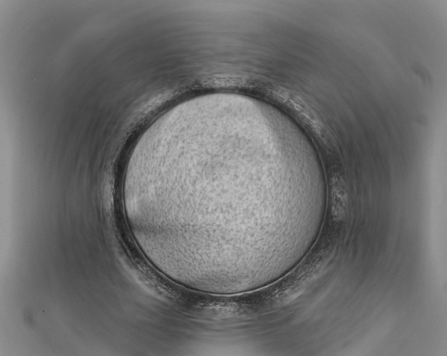 X0000112720631200909031417