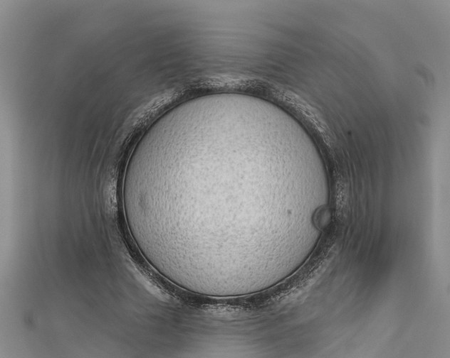 X0000112720633200909031417