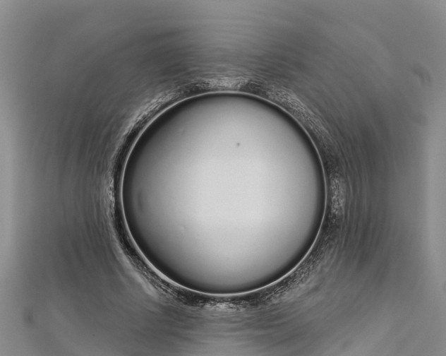 X0000112720634200909031417