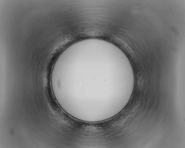 X0000112720635200909031417