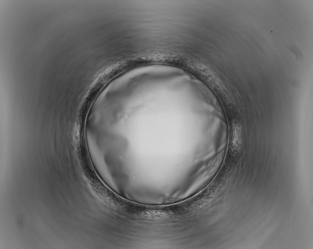 X0000112720636200909031418