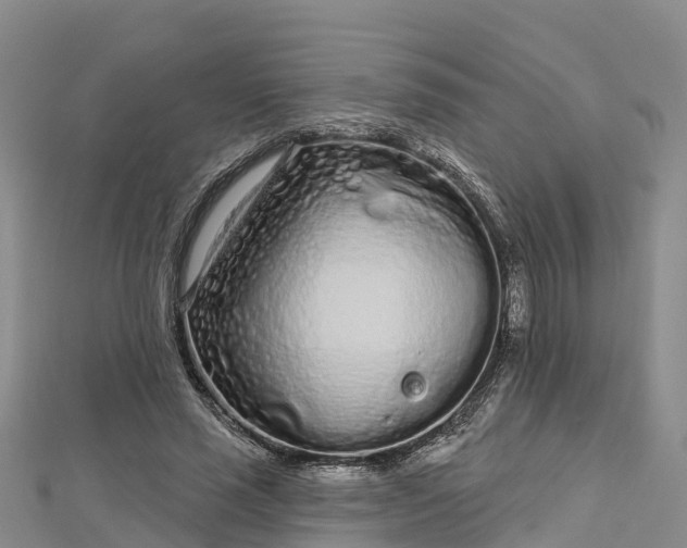 X0000112720637200909031418