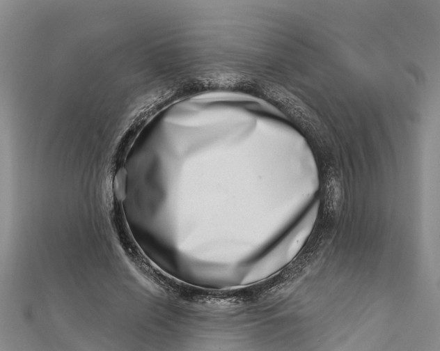 X0000112720638200909031418