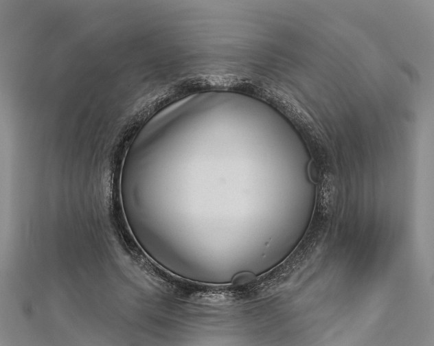 X0000112720639200909031418