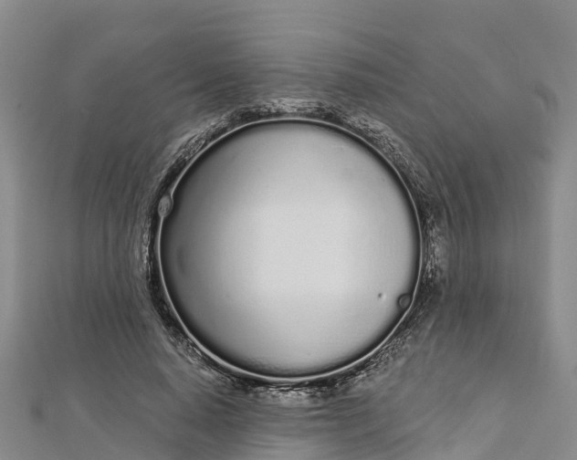 X0000112720640200909031418