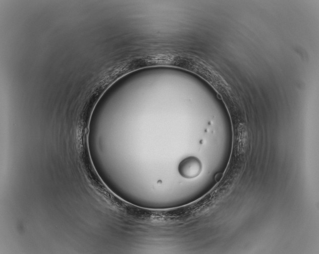 X0000112720641200909031418