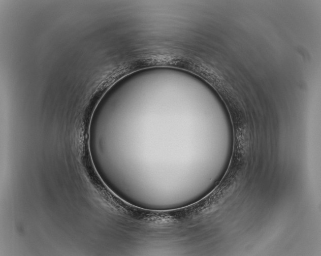 X0000112720642200909031418