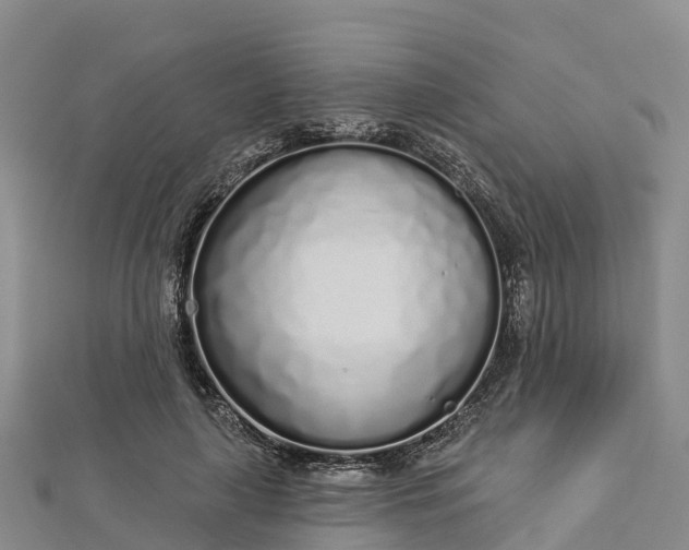 X0000112720643200909031418