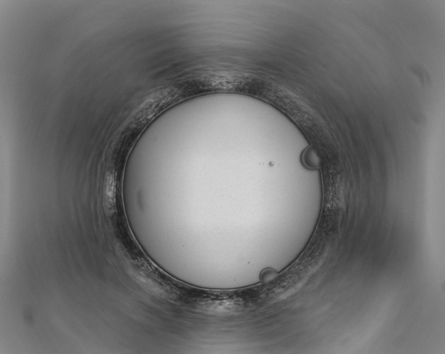 X0000112720646200909031418