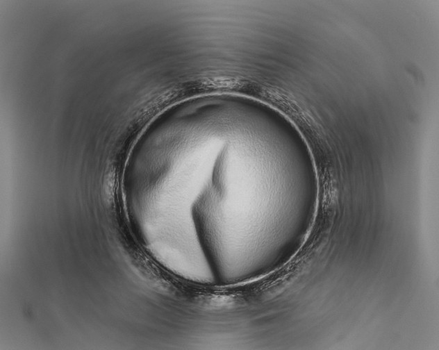 X0000112720647200909031418