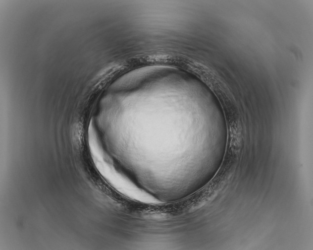 X0000112720648200909031418