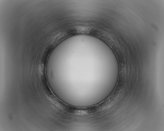 X0000112720649200909031418