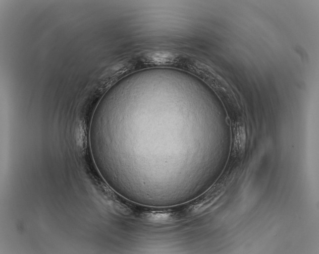 X0000112720651200909031418