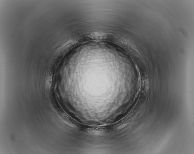 X0000112720652200909031418