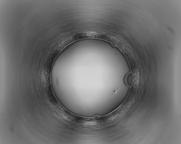 X0000112720653200909031418