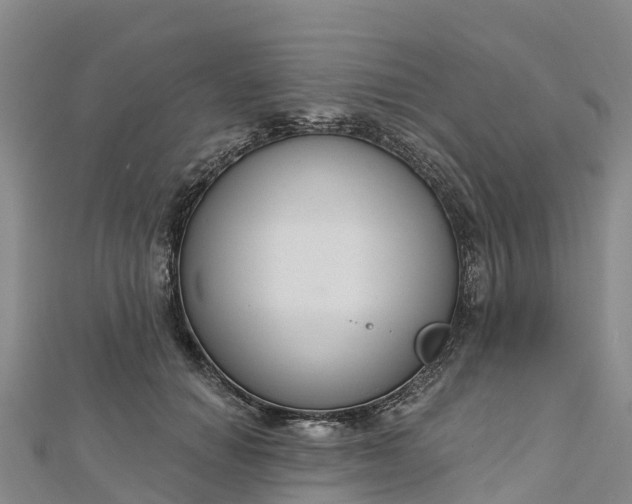 X0000112720654200909031418