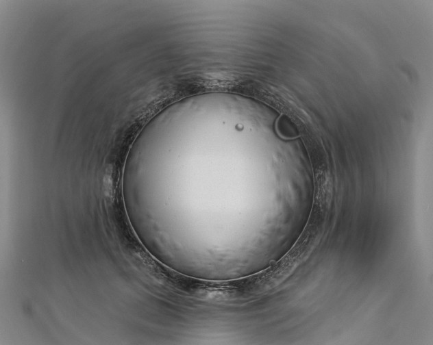 X0000112720655200909031418