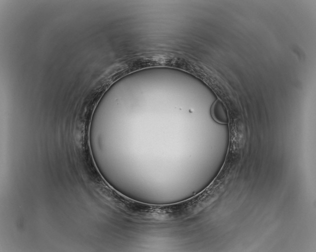 X0000112720656200909031418