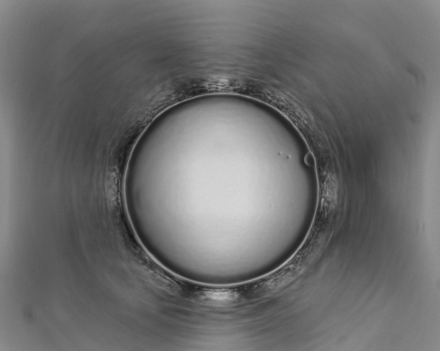 X0000112720659200909031418