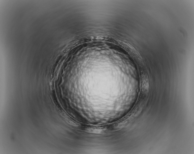 X0000112720661200909031418