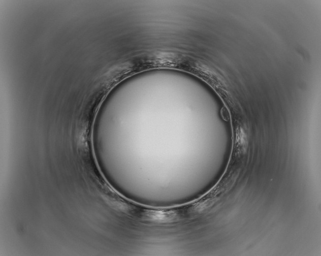 X0000112720663200909031418