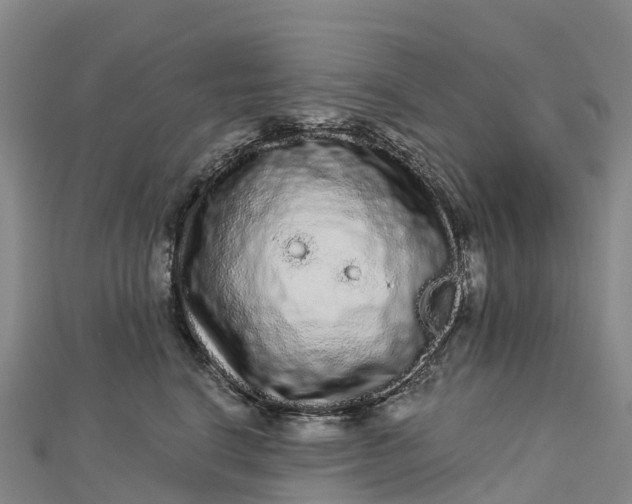 X0000112720664200909031418