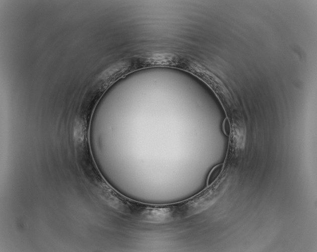 X0000112720665200909031418