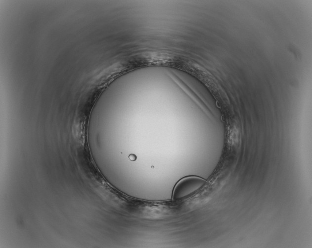 X0000112720666200909031418