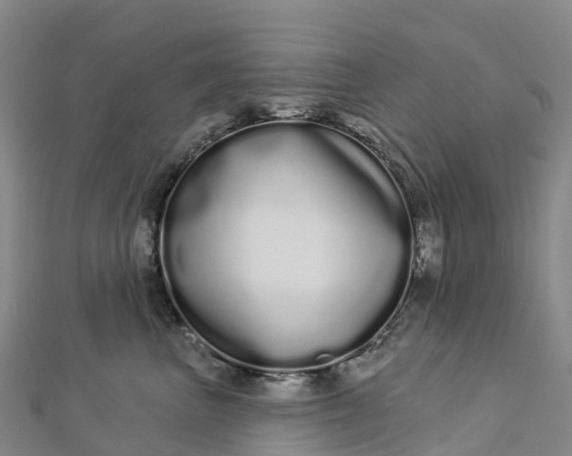 X0000112720667200909031418