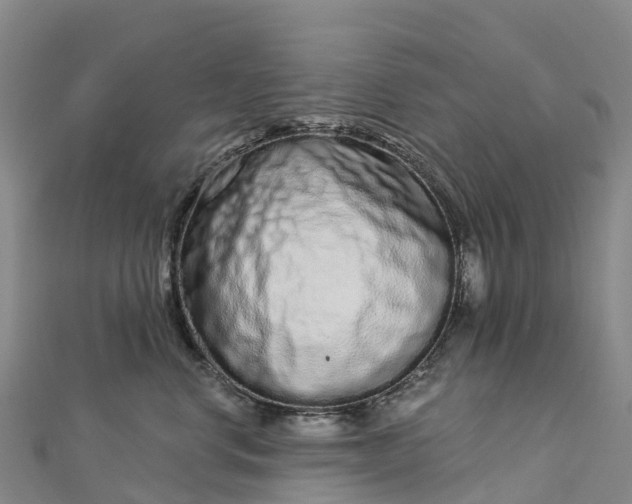 X0000112720668200909031418