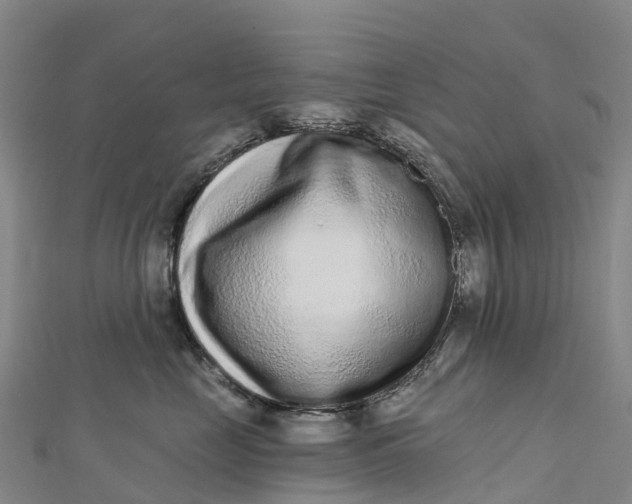 X0000112720669200909031418