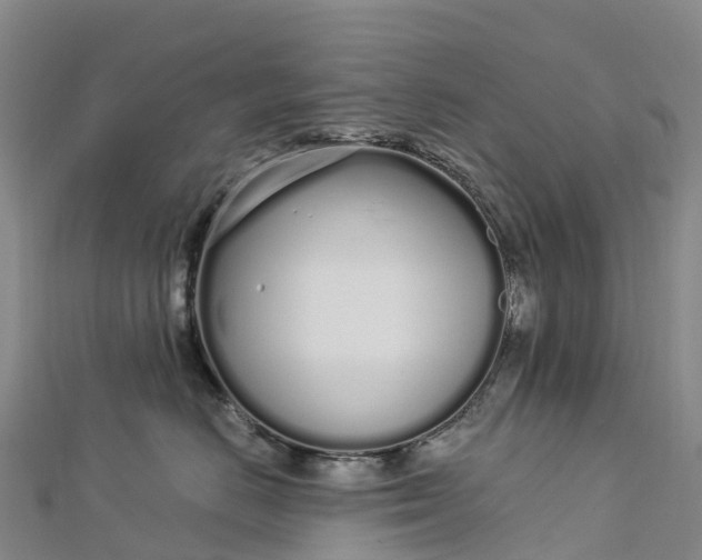 X0000112720670200909031418