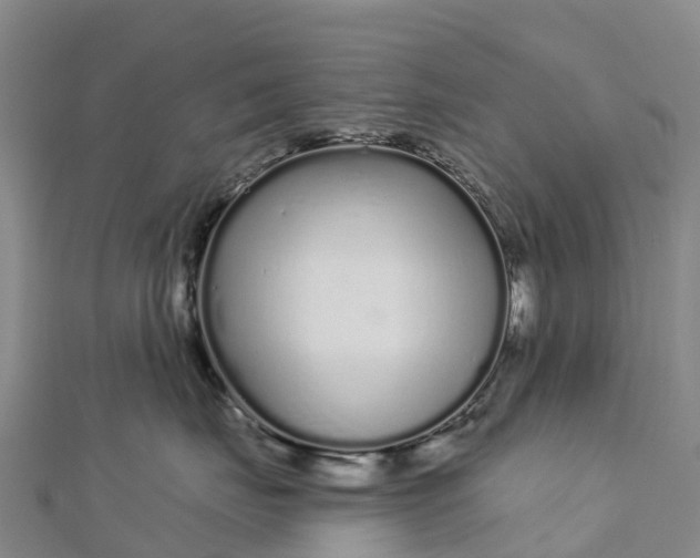 X0000112720671200909031418