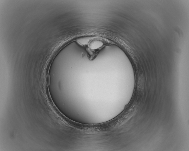 X0000112720673200909031417