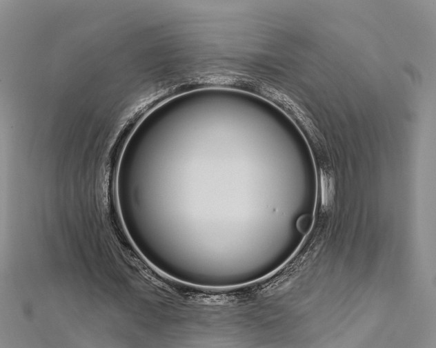 X0000112720675200909031417