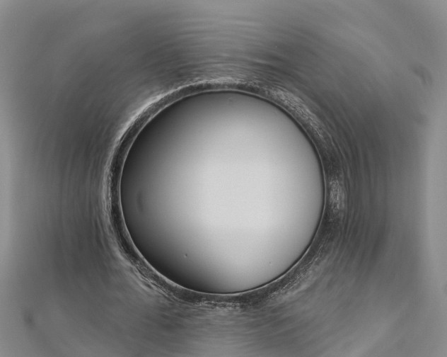 X0000112720676200909031417