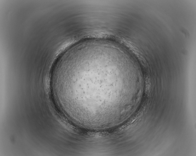 X0000112720679200909031417