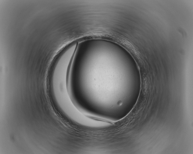 X0000112720680200909031417