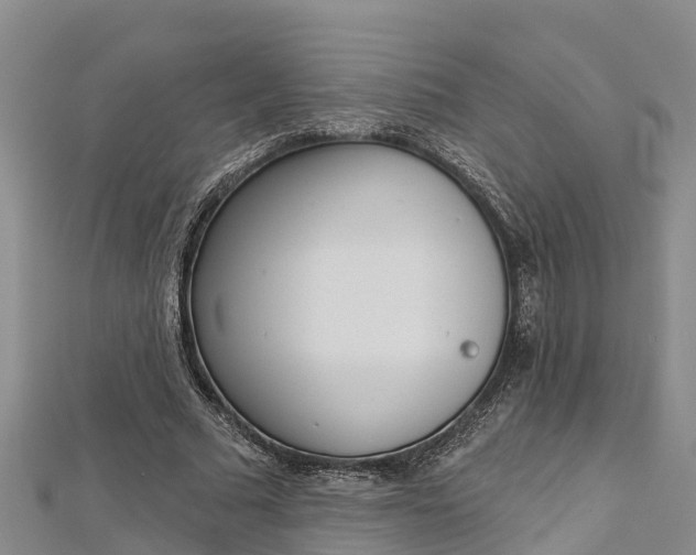 X0000112720681200909031417