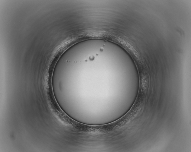 X0000112720682200909031417