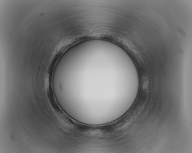 X0000112720685200909031417