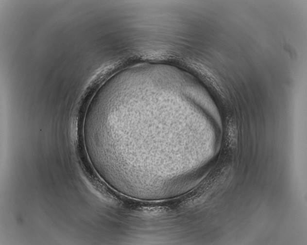 X0000112720686200909031417