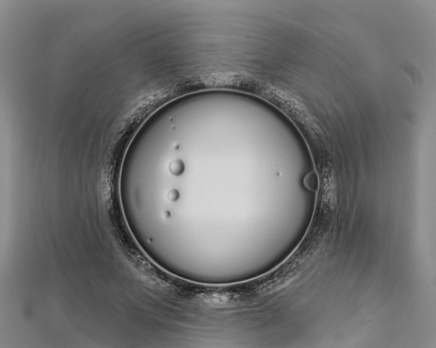 X0000112720687200909031417