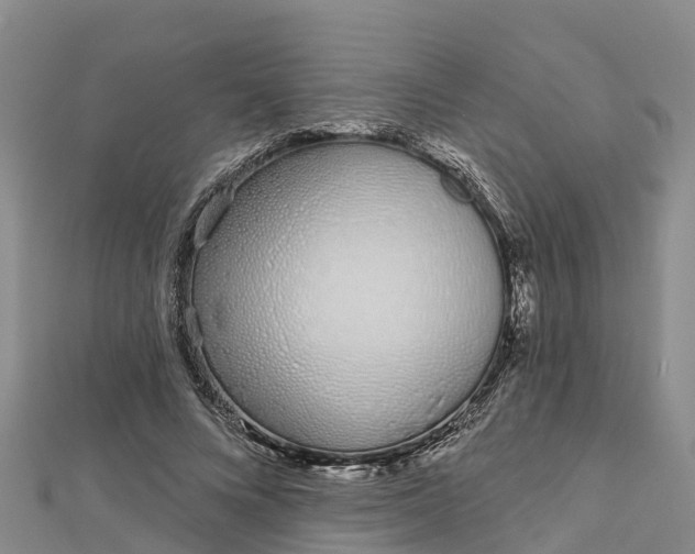 X0000112720688200909031417