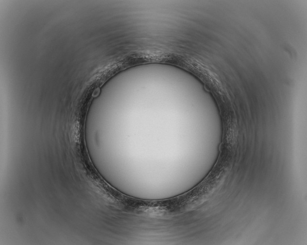 X0000112720689200909031417