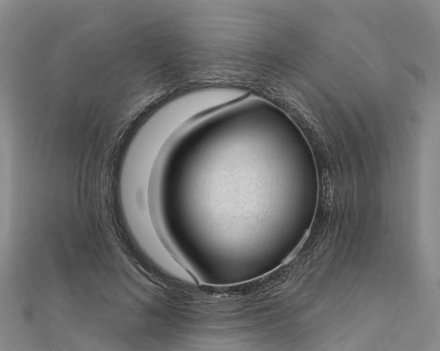 X0000112720692200909031417