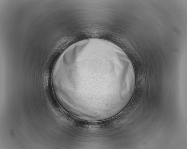 X0000112720694200909031417